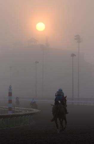 morning mist at the racetrack